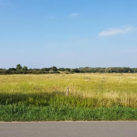 Quaint Summer In Binnen